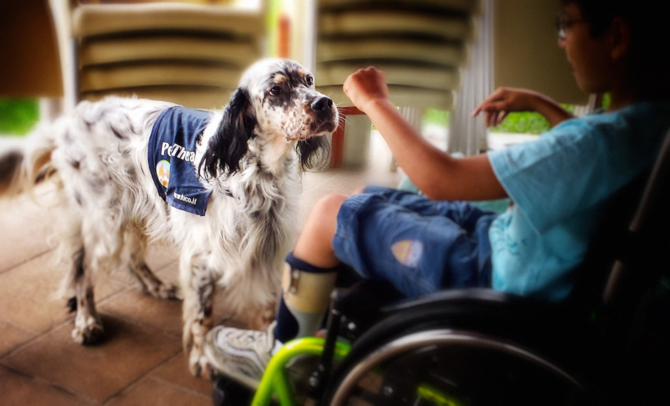 Cani Assistenza per disabili - Bari Puglia
