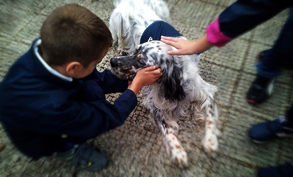 Associazione Pet Therapy Bari - Puglia